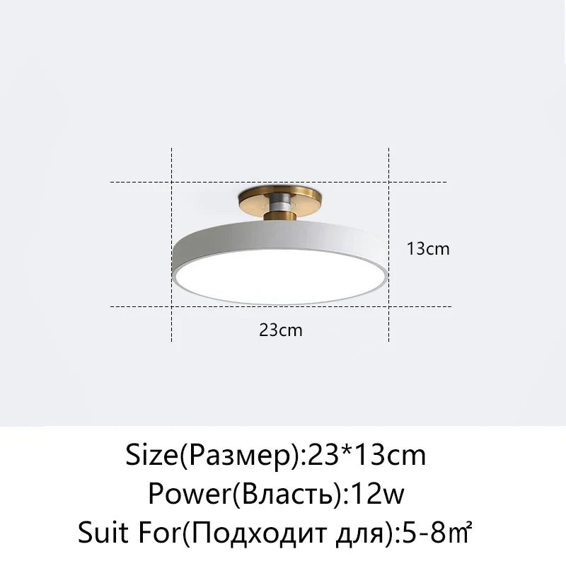 Afralia™ LED Ceiling Lamp for Living Room Study Child Bedroom Indoor Lighting