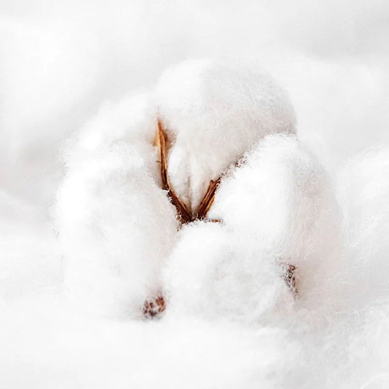 Afralia™ 120S Long Staple Cotton Satin Embroidery Bedding Set - Solid Color Twin Full Double Comforter