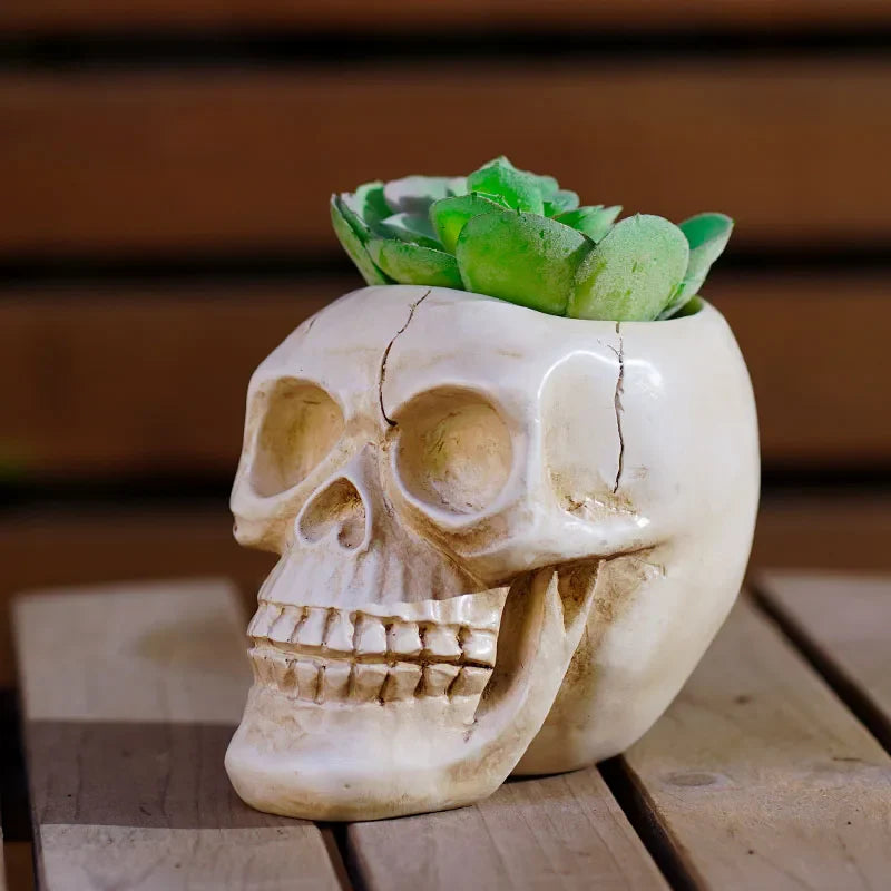 Afralia™ Skeleton Head Flower Pot: Creative Resin Multi-Meat Storage Figurine