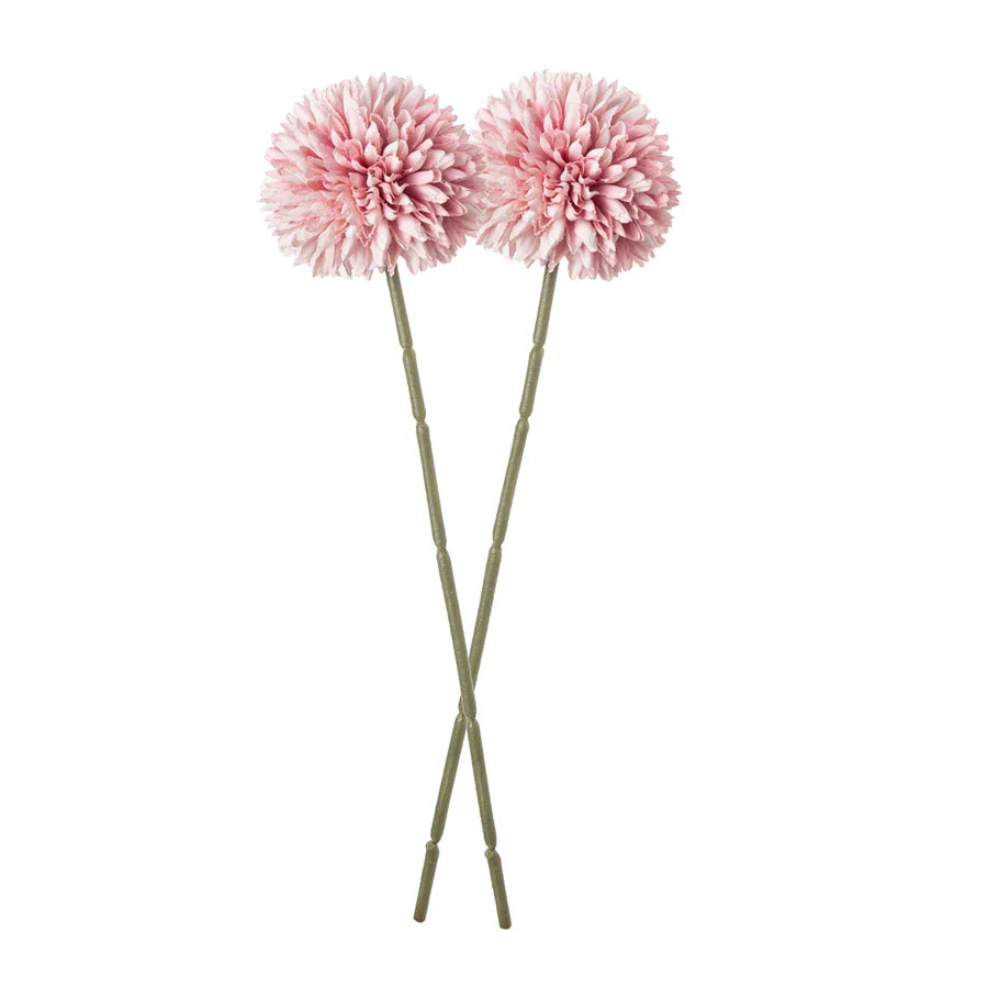 49435163427121|49435163459889