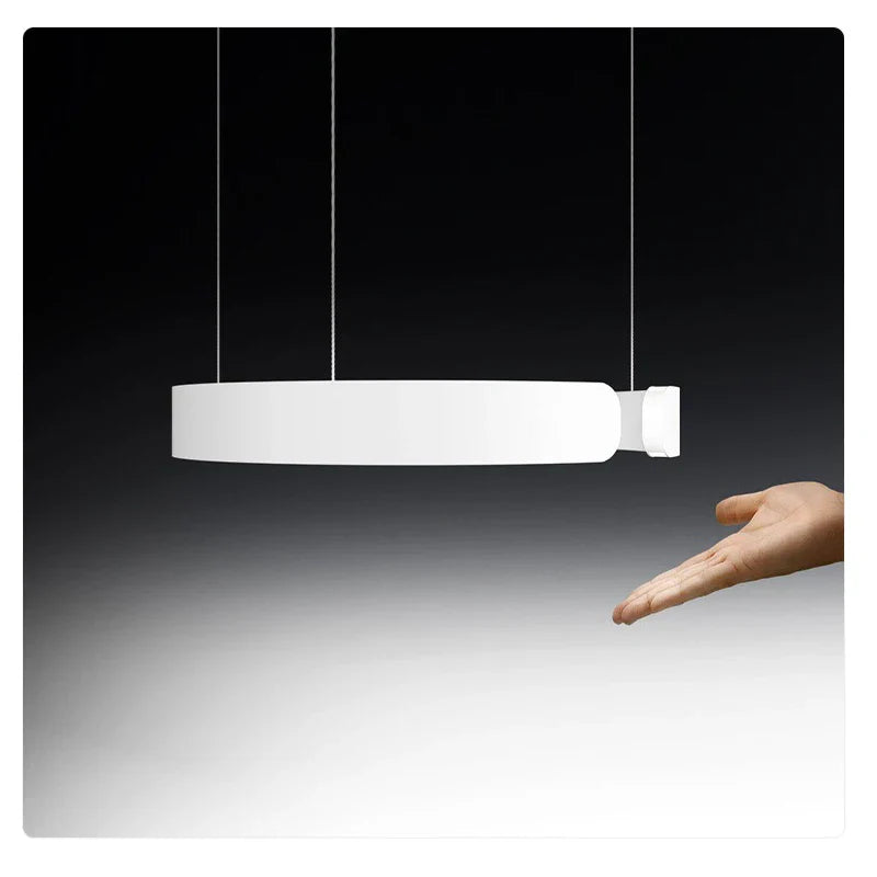 Afralia™ Modern LED Chandelier 4 Circle Pendant Lights Aluminum Gold Black 20-80cm