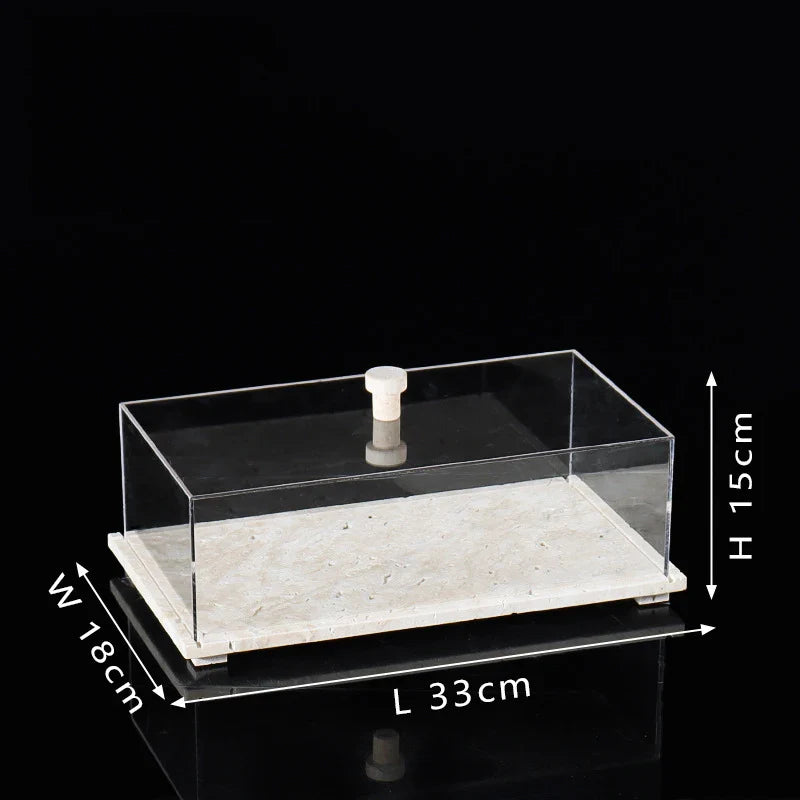 Acrylic Display Case on Travertine Base by Afralia™ for Collectibles, Figurines, Desserts