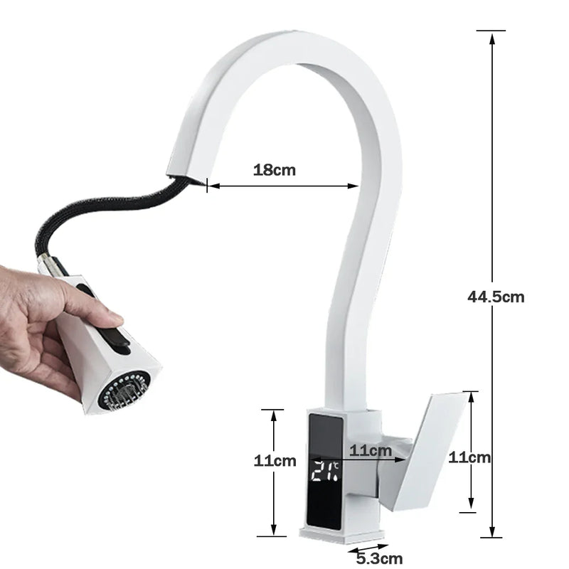 Afralia™ Black Brass Kitchen Faucet with Digital Temperature Display & Dual Water Sprayer