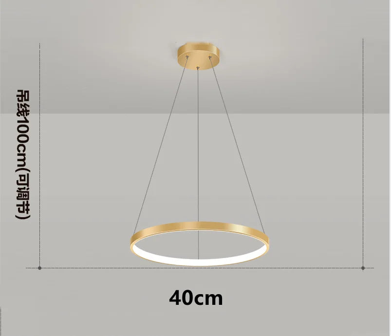 Afralia™ Modern Black Ring LED Pendant Light Chandelier for Home Decoration