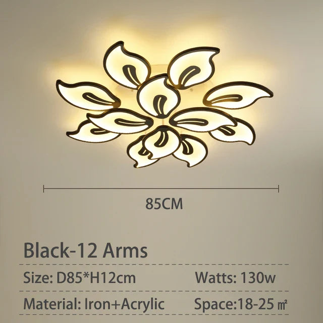45111038902525