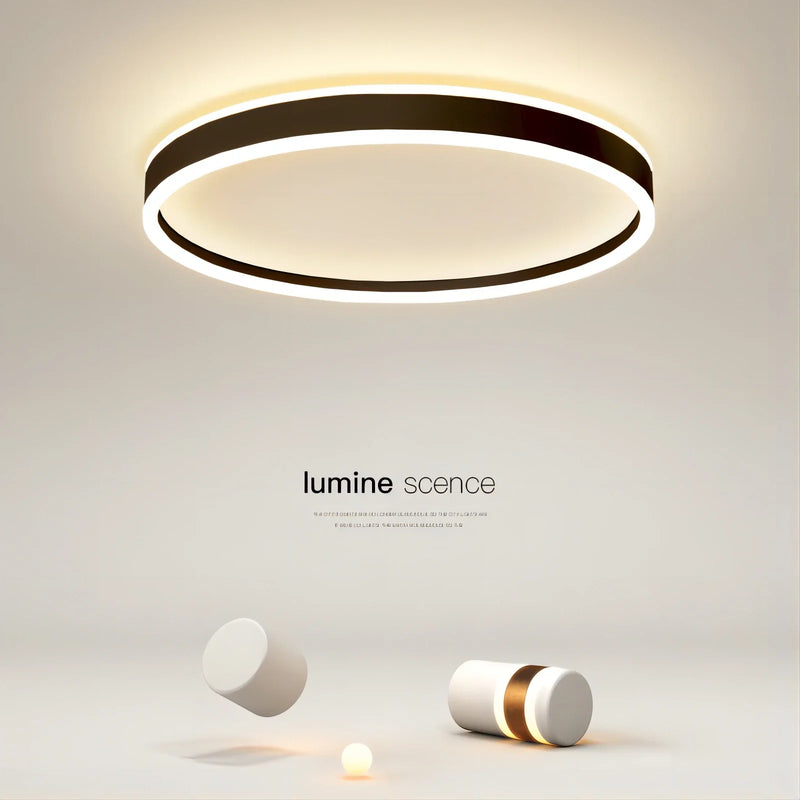 Afralia™ Modern Minimal LED Ceiling Light Acrylic Dimmable Round Lamp Fixtures