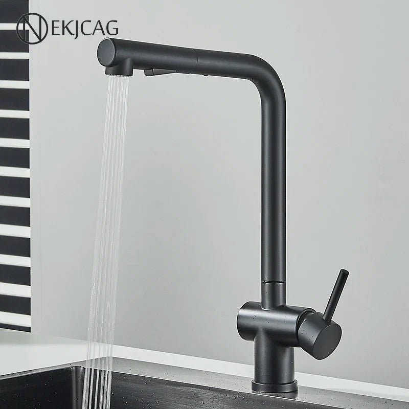 Afralia™ Stainless Steel Kitchen Faucet Black Hot Cold Mixer Two Water Outlet Sink Tap