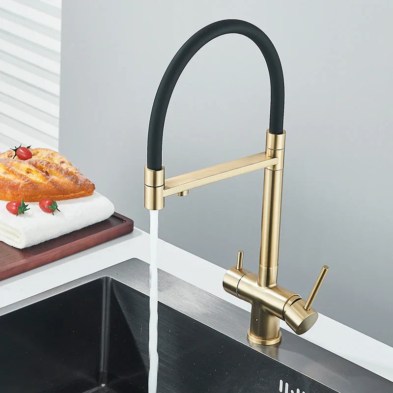 Afralia™ Brushed Gold 360 Rotate Pull Out Kitchen Filter Faucet with Dual Handle
