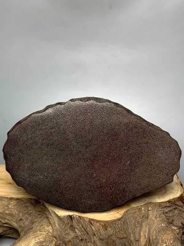 Afralia™ Ox Horn Statue Sculpture - Handcrafted Natural Ox Horn Sculpture