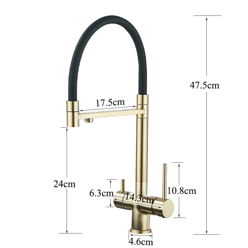 Afralia™ Brushed Gold 360 Rotate Pull Out Kitchen Filter Faucet with Dual Handle