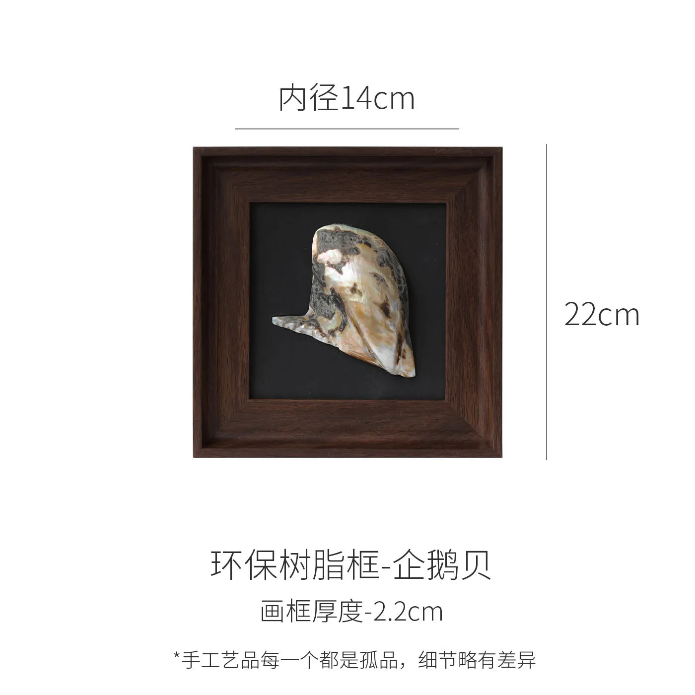 Afralia™ Conch Shell Decorative Painting Frame Pendant Wall Ornaments