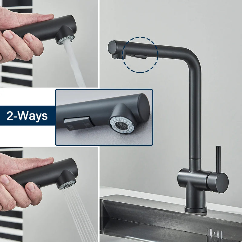 Afralia™ Black Gourmet Kitchen Faucet with Flexible Sprayer and Dual Nozzle