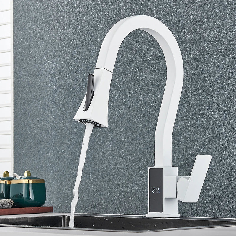 Afralia™ Black Brass Kitchen Faucet with Digital Temperature Display & Dual Water Sprayer