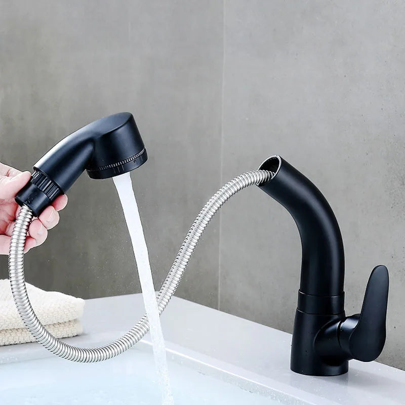 Afralia™ Modern Black Silver Basin Faucet with Pull Out Spray, 360 Rotate Bathroom Tap