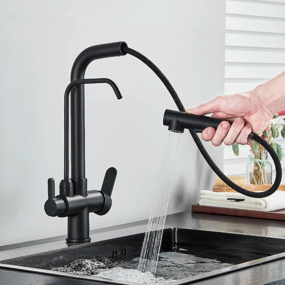 Afralia™ Dual Handle Waterfilter Kitchen Faucet for Rotation Water Purification.