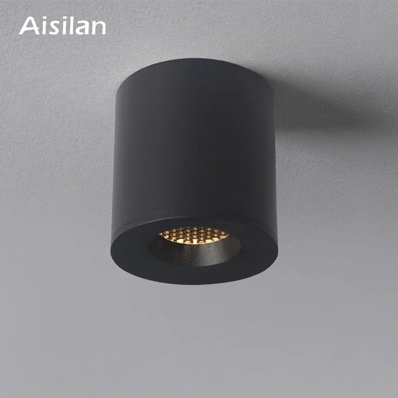 Afralia™ LED COB Downlight: Anti-glare Ceiling Light for Living Room, Foyer