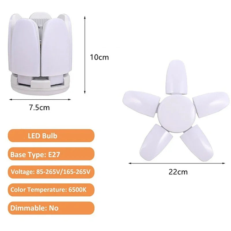 45276740354301|45276740387069|45276740452605|45276740485373|45276740518141