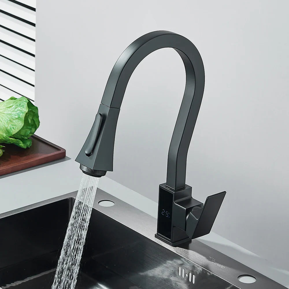 Afralia™ Matte Black Kitchen Faucet with Digital Temperature Display