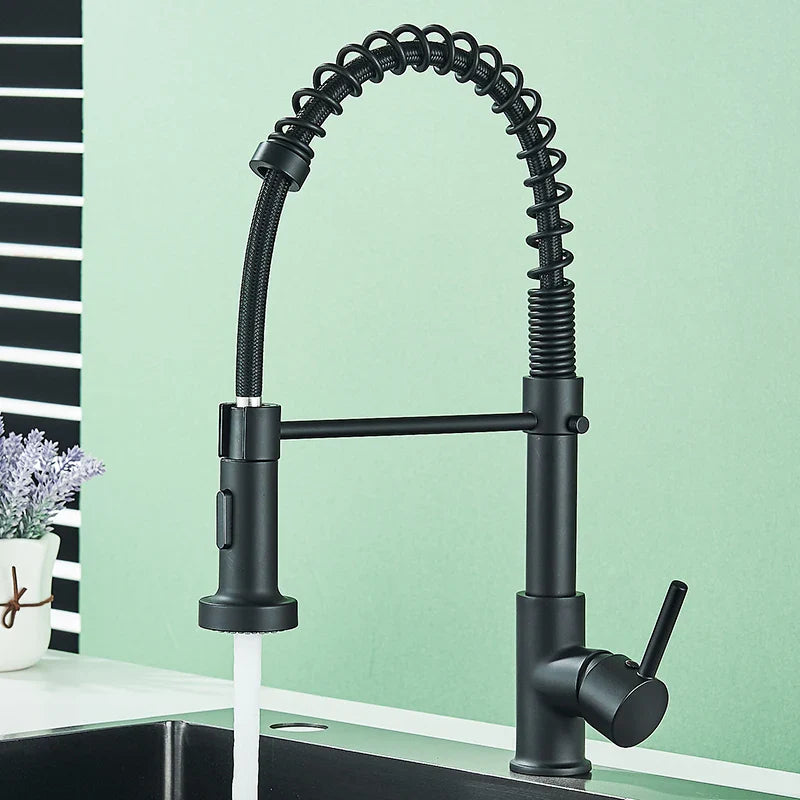 Afralia™ Matte Black Dual Water Mode Kitchen Faucet with Brass Spring