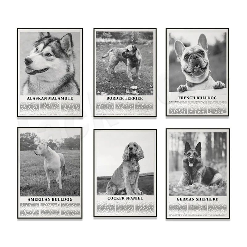 Afralia™ Black & White Dog Breeds Poster: Greyhound, Cocker Spaniel, Akita, Malamute, Cattle Dog