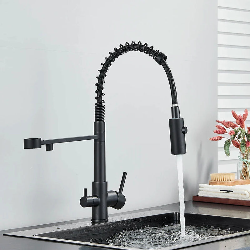 Afralia™ Dual Spout Kitchen Water Filter Faucet with Rotation Water Purification Feature