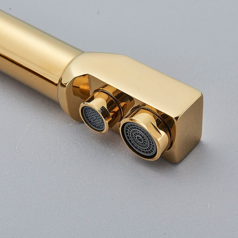 Afralia™ Dual Outlet Gold Kitchen Faucet for Purified Water Hot & Cold Basin Sink