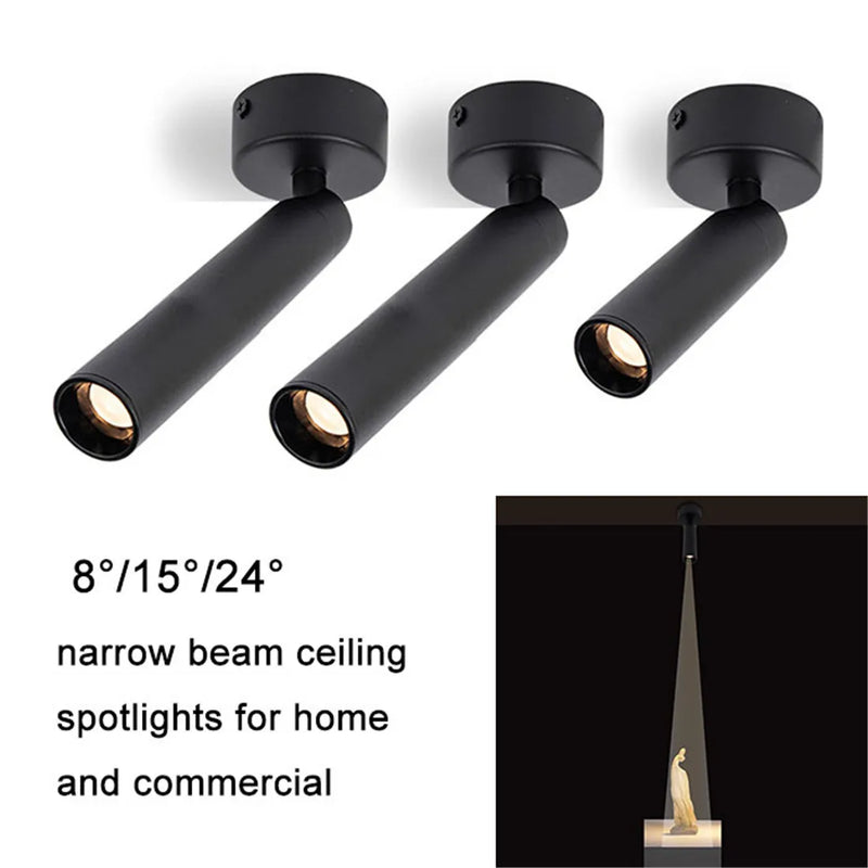 Afralia™ Narrow Beam Ceiling Spotlights for Jewelry Museum Gallery - 3W 5W Surface Mount Spotlight