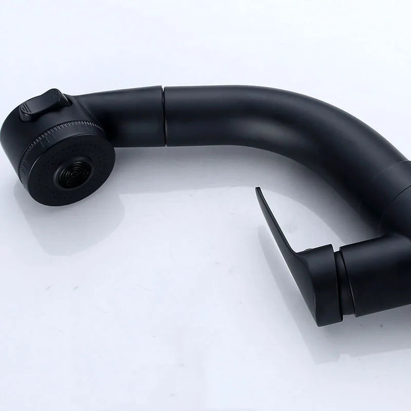 Afralia™ Modern Black Silver Basin Faucet with Pull Out Spray, 360 Rotate Bathroom Tap