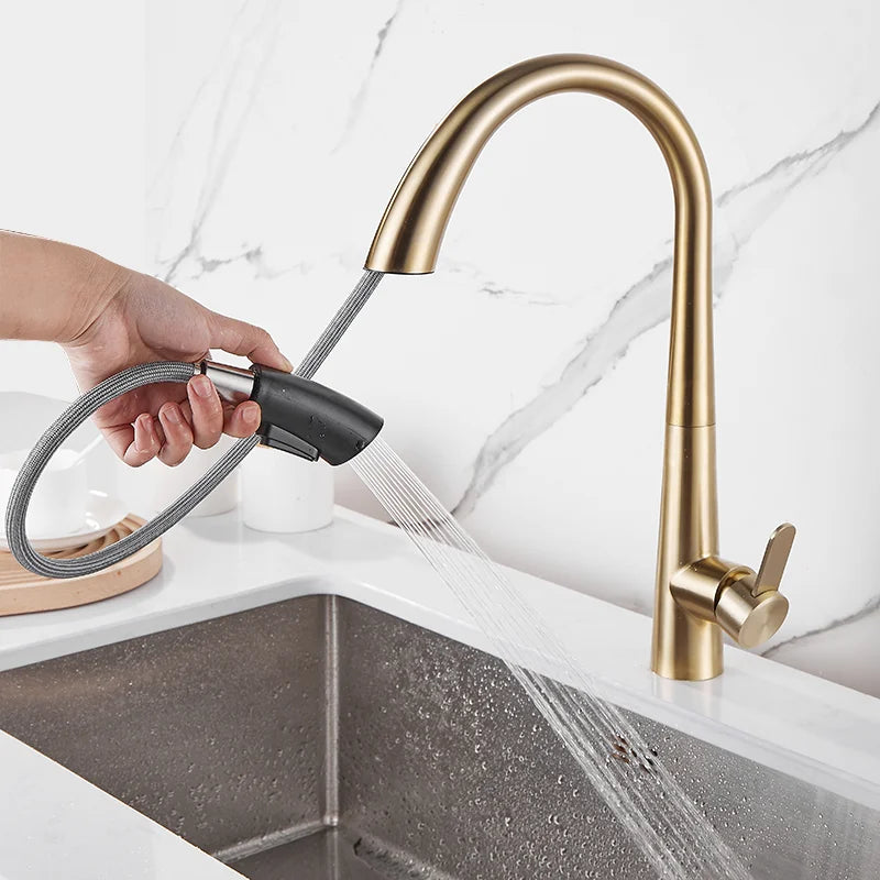 Afralia™ Black Brushed Gold Kitchen Faucet with Pull Out Spring Spout