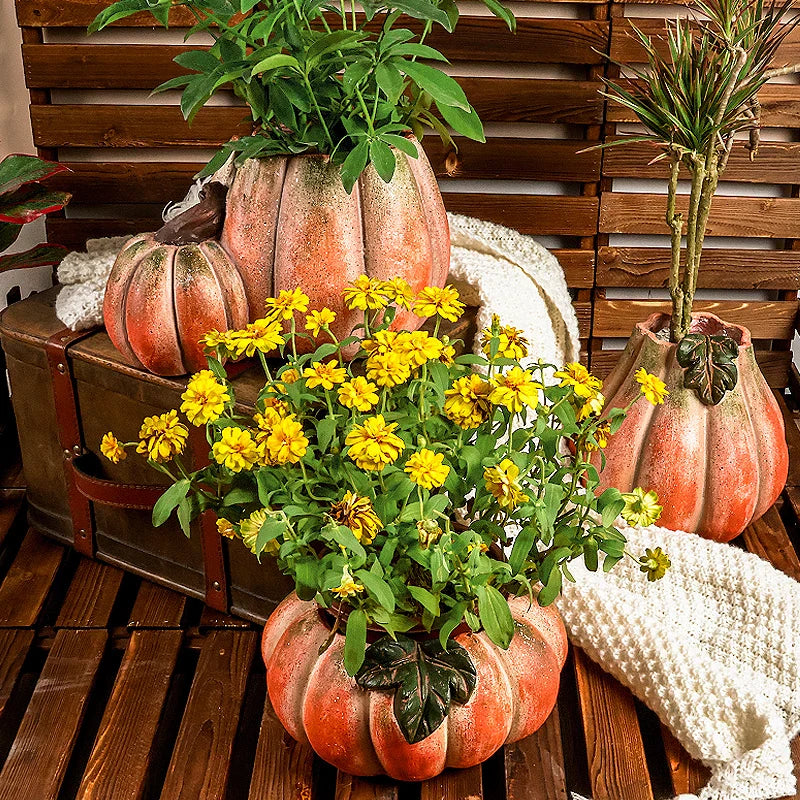 Afralia™ Pumpkin Flower Vase | Ceramic Garden Decoration Succulent Pot Plantas Accesorios