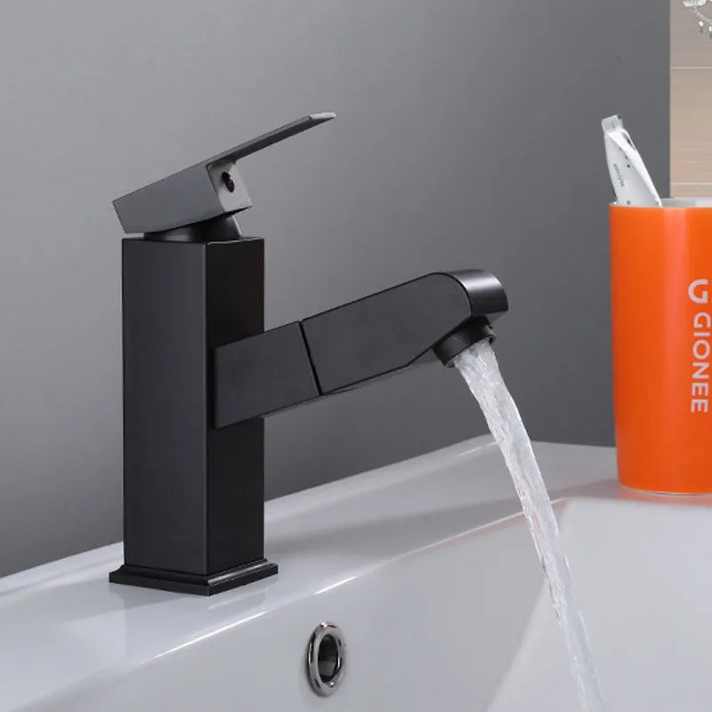 Afralia™ Stainless Steel Kitchen Faucet with Pull Out Sprayer, Chrome Basin Mixer Tap