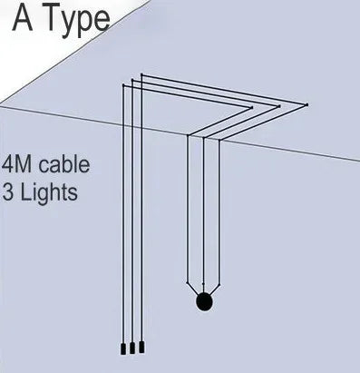 45284124000509|45284124033277
