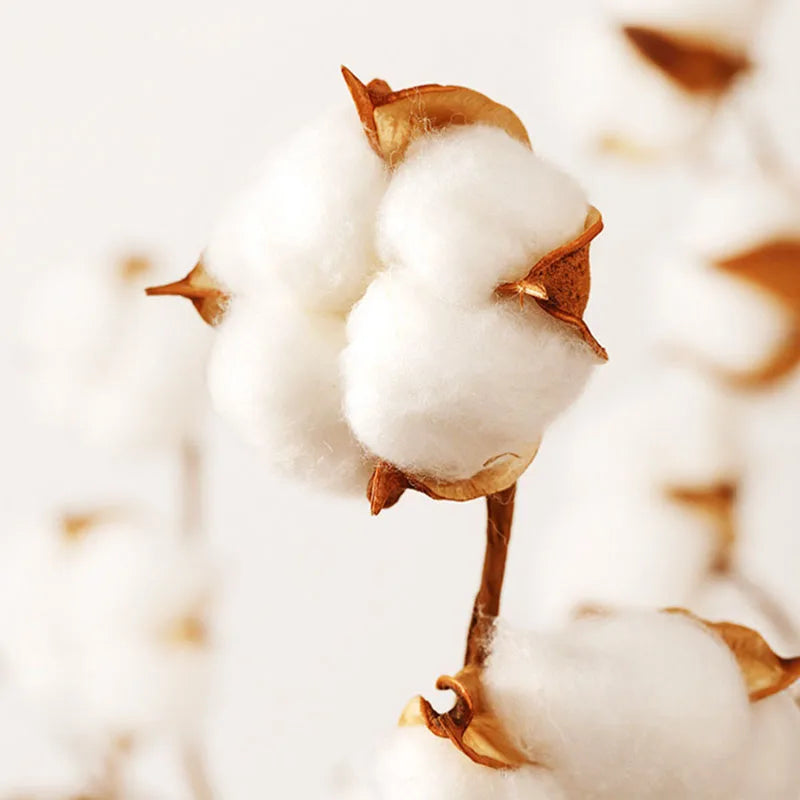 Afralia™ Love Pattern Cotton Fitted Sheet Single - Anti-Slip, Dustproof & Luxury