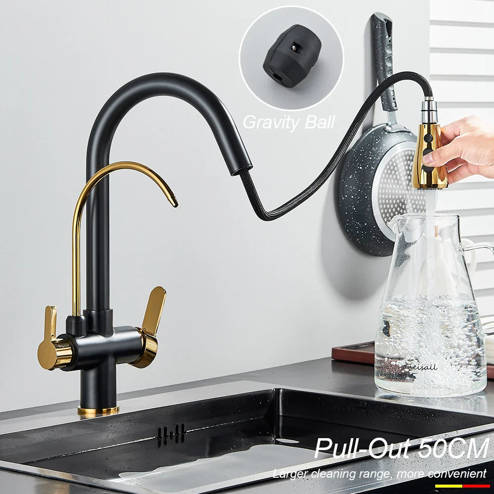 Afralia™ Dual Handle Kitchen Faucet with Black Touch Sensor and Three Modes
