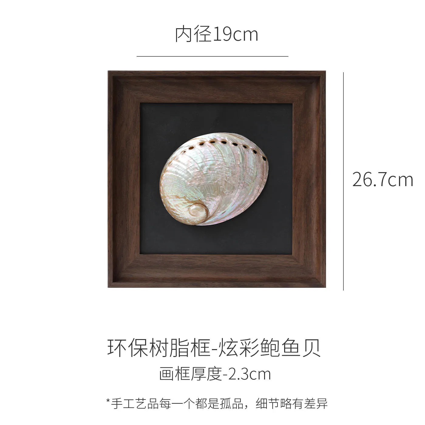 Afralia™ Conch Shell Decorative Painting Frame Pendant Wall Ornaments