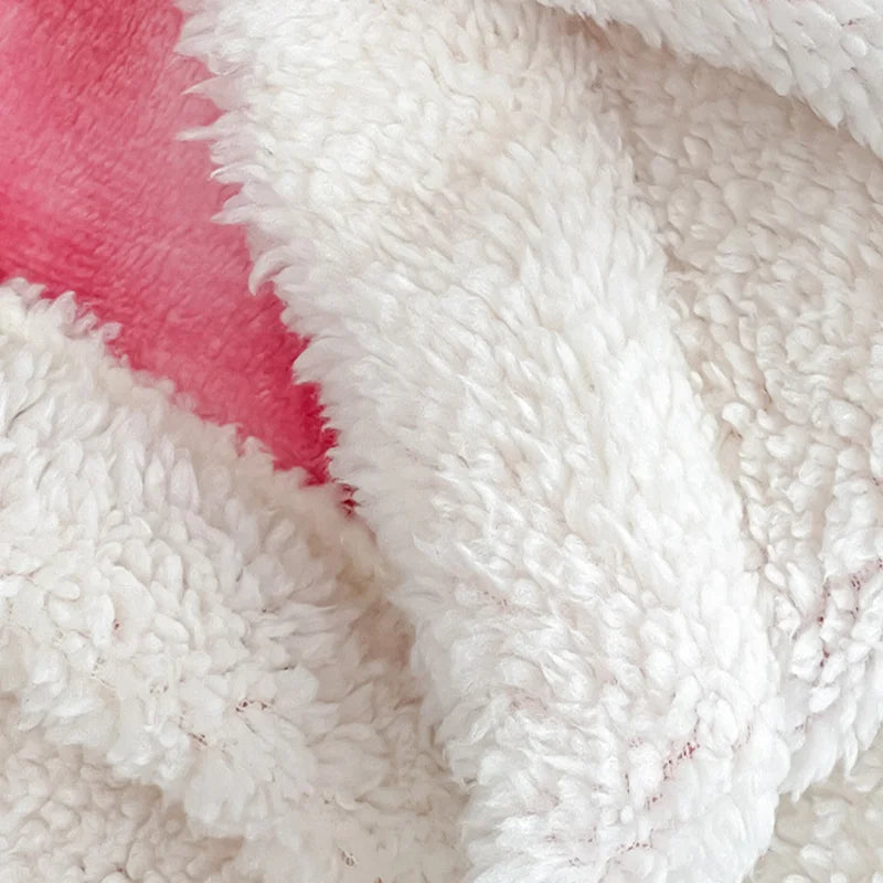 Afralia™ Nordic Double Layer Lamb Fleece Blanket; Soft & Colorful All-Season Office Nap Quilt