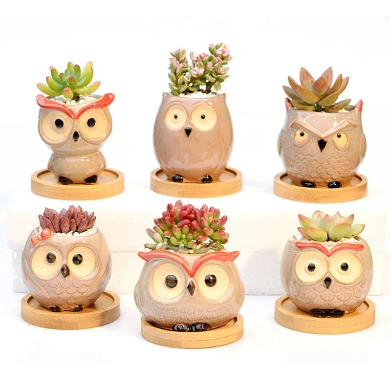 Afralia™ Mini Owl Flower Pot Succulent Ceramic European Style Cute Animal Garden Decor