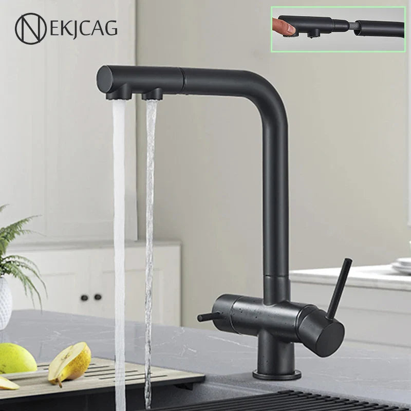 Afralia™ Kitchen Faucet with Water Filter Tap and Dual Sprayer