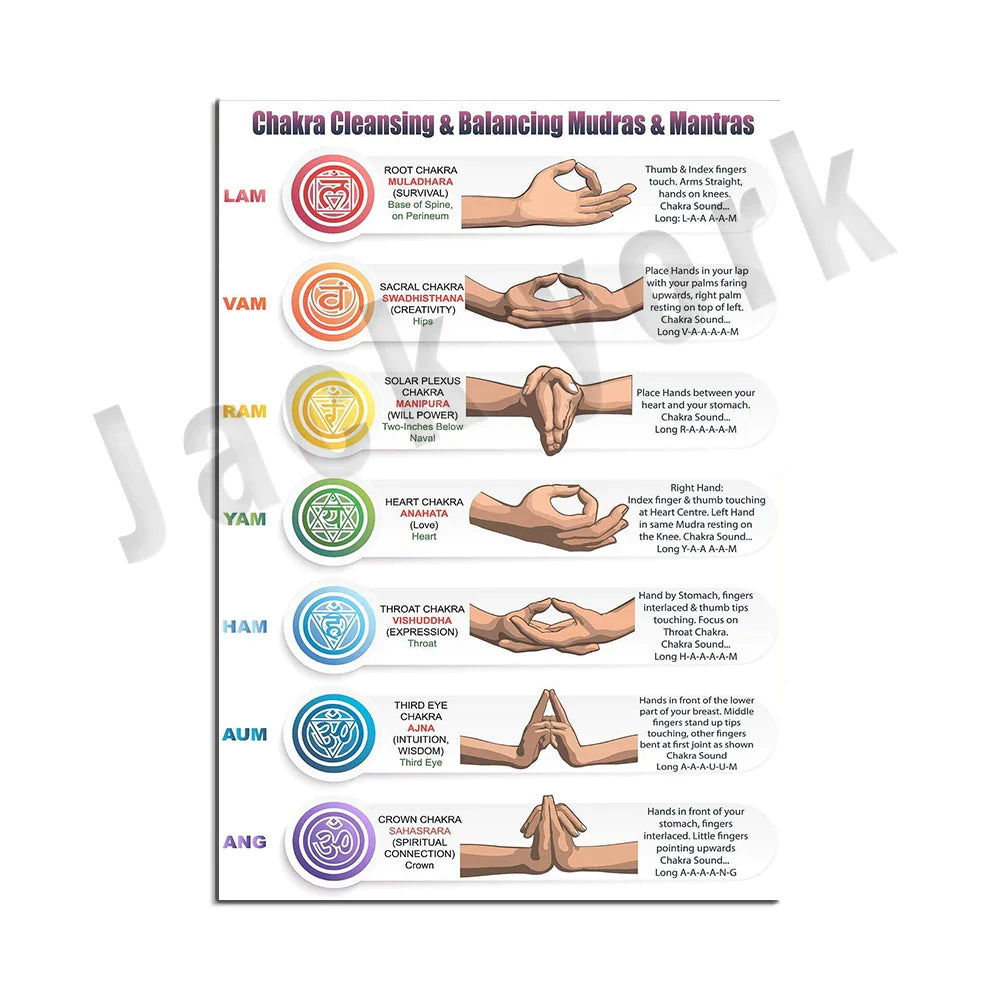 44241575968931|44241576001699|44241576034467|44241576067235|44241576100003