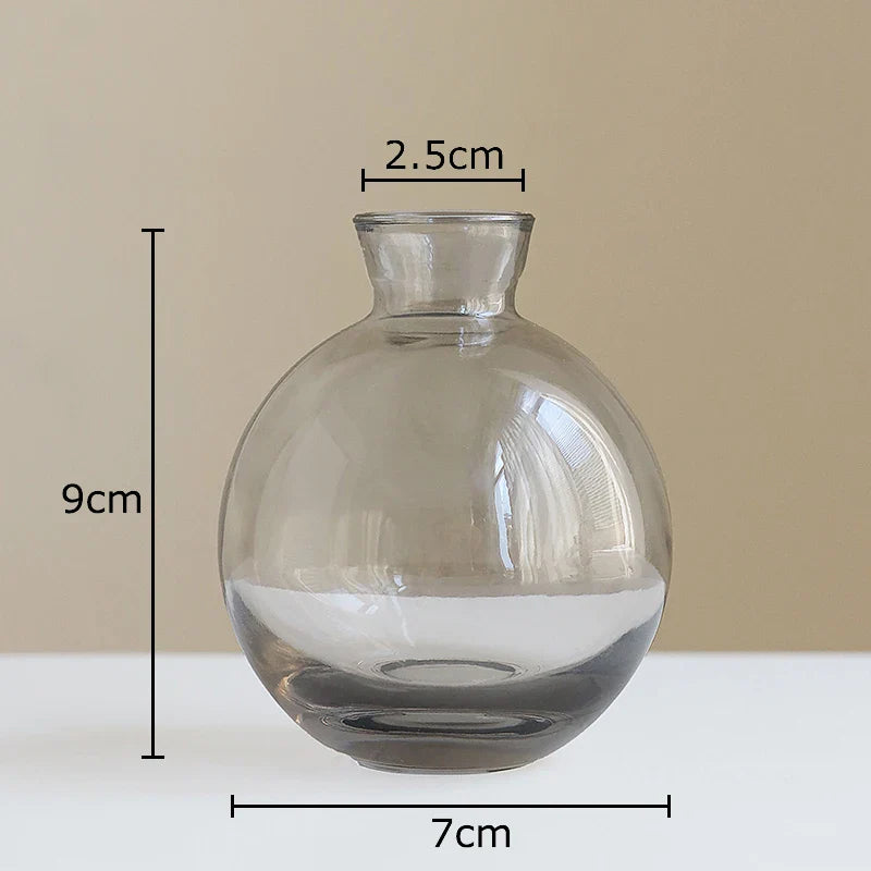 Afralia™ Small Glass Vase for Table Decoration Room Aesthetic, Multi Style Floral Pots