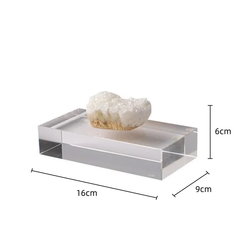 Afralia Clear Crystal Coralline Ornaments for Home Decor