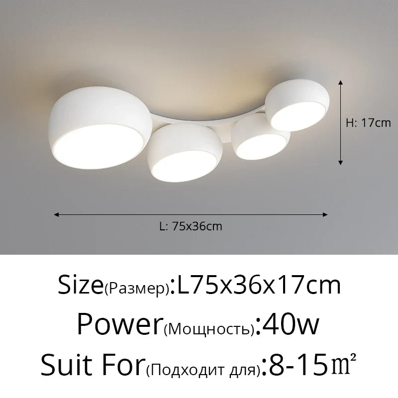 48222059725104|48222059856176|48222060347696