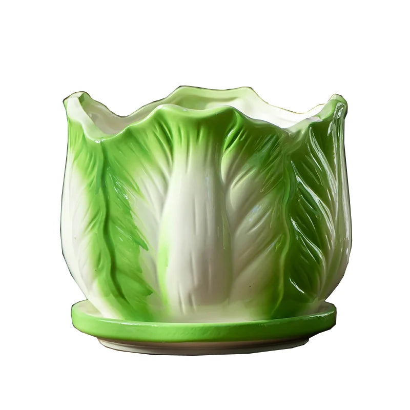 Afralia™ Cabbage Flowerpot with Tray | Creative Cartoon Vegetable Basin | Indoor Garden Flower Vase