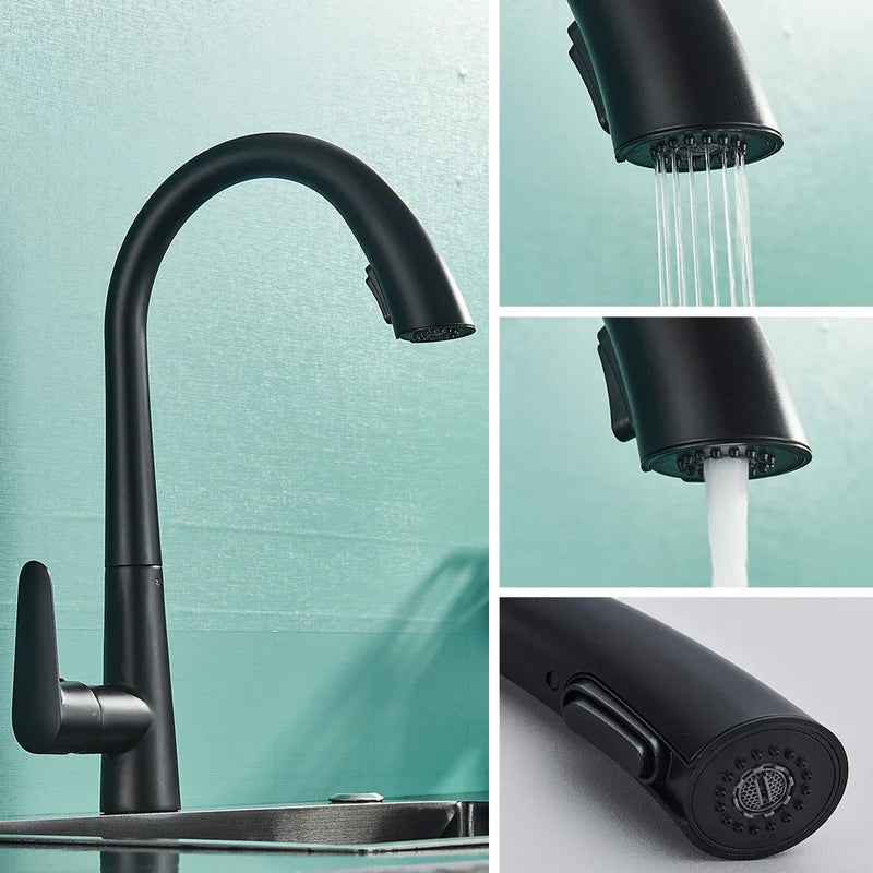 Afralia™ Black Kitchen Faucet with Pull Out Sprayer and Single Lever Control