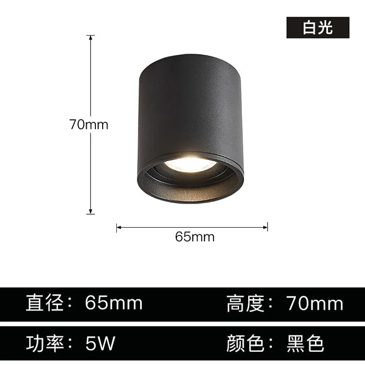 Afralia™ Aluminum Ceiling Lamp: Cylindrical Surface Mounted Downlight with Adjustable Beam Angle