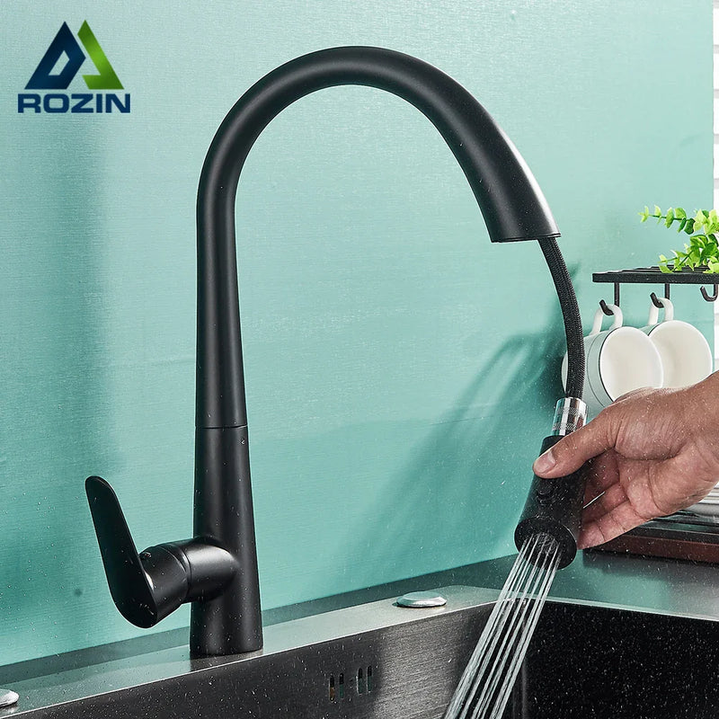 Afralia™ Black Kitchen Faucet with Pull Out Sprayer and Single Lever Control