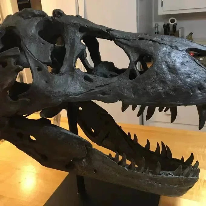 Afralia™ T rex Skull Model Dinosaur Ornament Figurine for Home & Office Decor