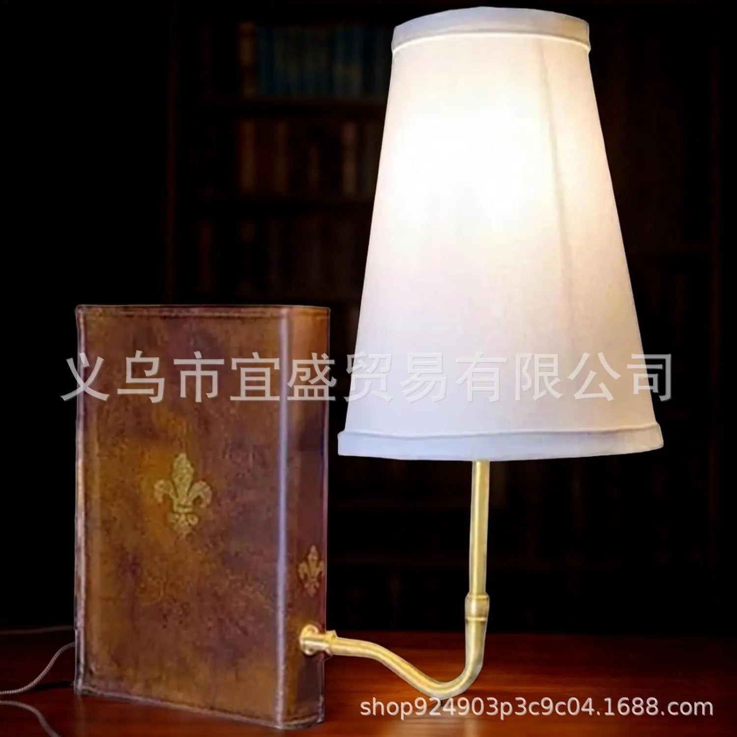 Afralia™ Vintage Literature Bookshelf Lamp Classic Design for Home Office Library
