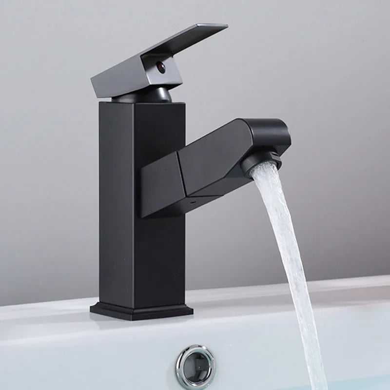 Afralia™ Stainless Steel Kitchen Faucet with Pull Out Sprayer, Chrome Basin Mixer Tap