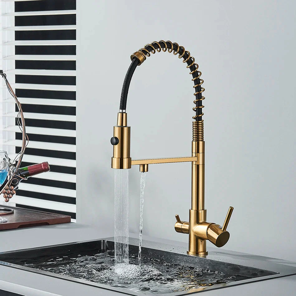 Afralia™ Dual Spout Water Filter Faucet with Rotation Water Purification Feature